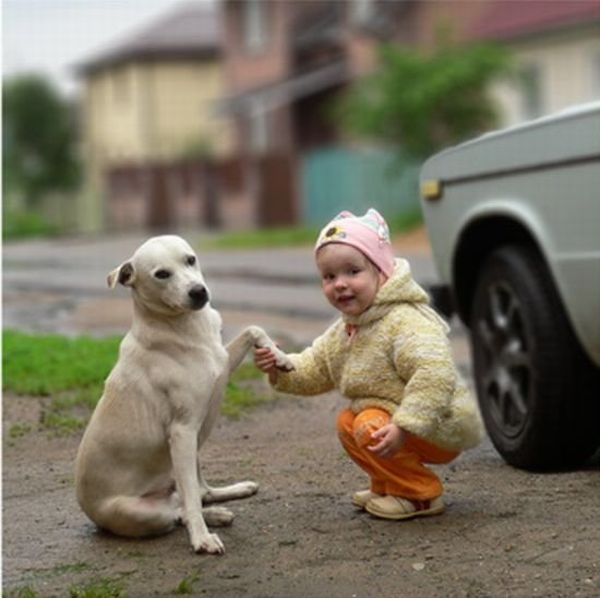 A Child and a Dog Friendly Greetings (4 pics)