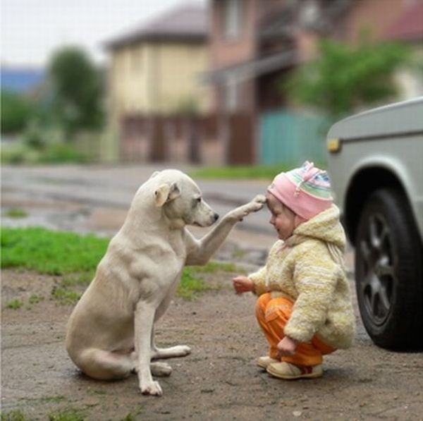 A Child and a Dog Friendly Greetings (4 pics)