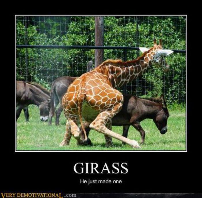 Funny Demotivational Posters (30 pics)