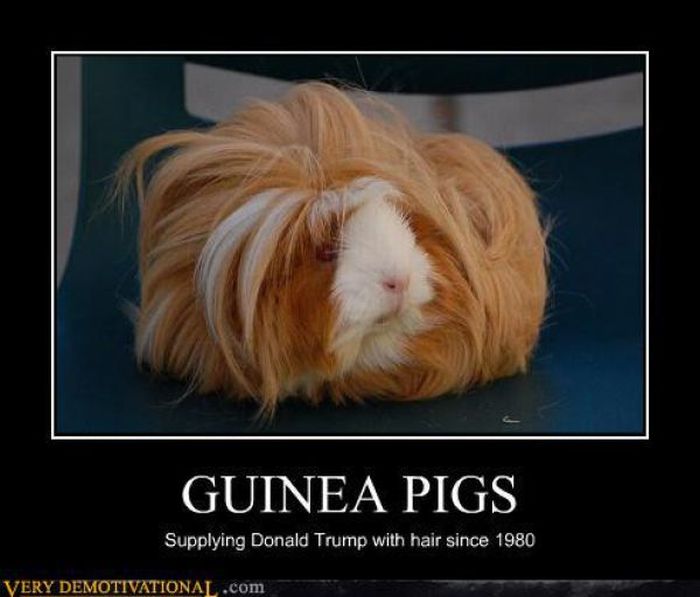 Funny Demotivational Posters (30 pics)