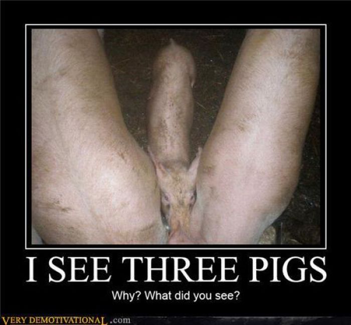 Funny Demotivational Posters (30 pics)