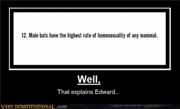 Funny Demotivational Posters (30 pics)