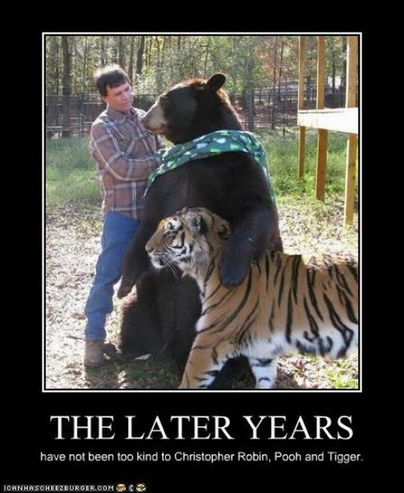 Funny Demotivational Posters (30 pics)