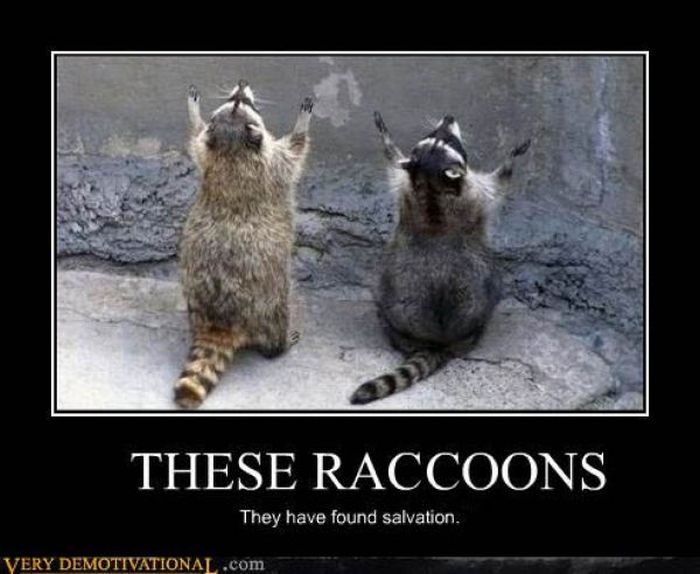 Funny Demotivational Posters (30 pics)