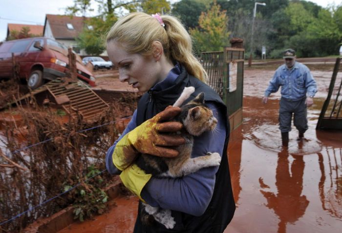 Disaster in Hungary (50 pics)