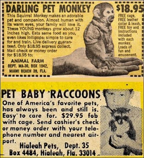 Crazy Vintage Ads with Kids (18 pics)