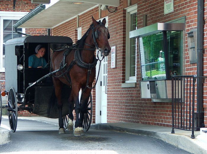 Wheel Chairs And Horses Going Through Drive Thrus (18 pics)