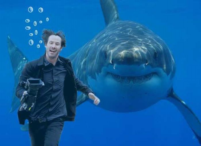 Happy Keanu (39 pics + 1 gif)