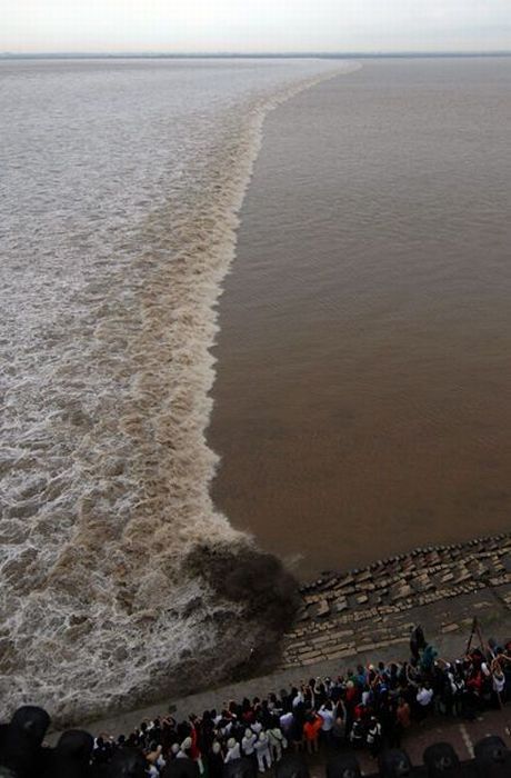 High Tide in China (12 pics)