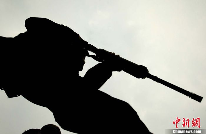 Special Forces (Silhouettes) (15 pics)