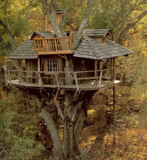 Awesome Treehouses (32 pics)