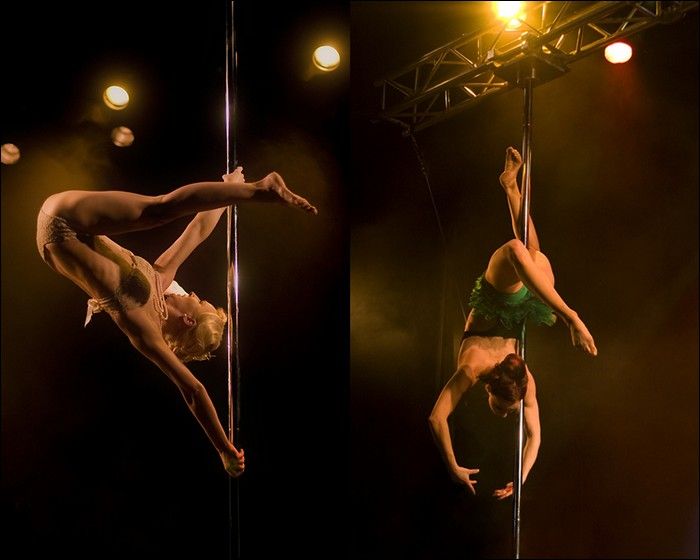 The Art of Pole Dancing (17 pics)