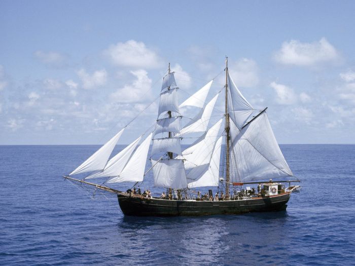 Beautiful Sailboats (31 pics)