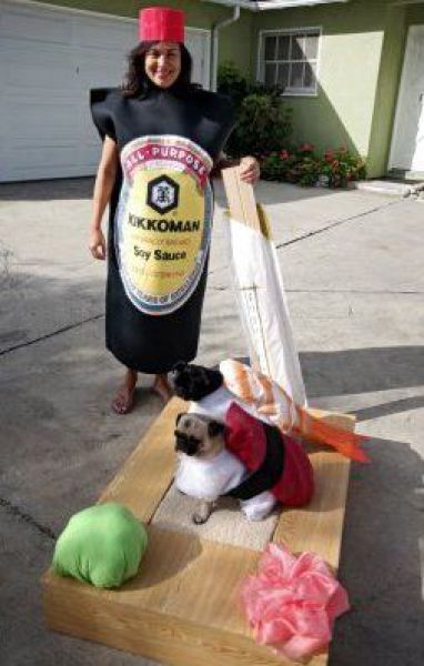 Dogs Are Getting Ready for Halloween (53 pics)