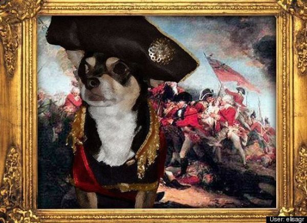Dogs Are Getting Ready for Halloween (53 pics)