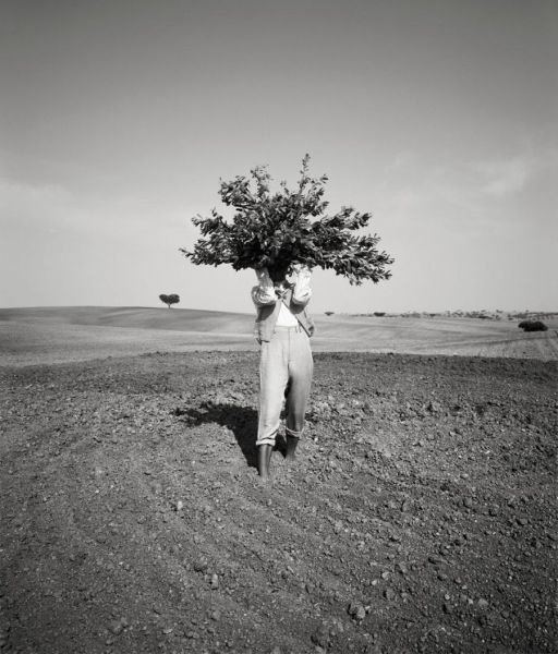 Photographs by Geof Kern (68 pics)