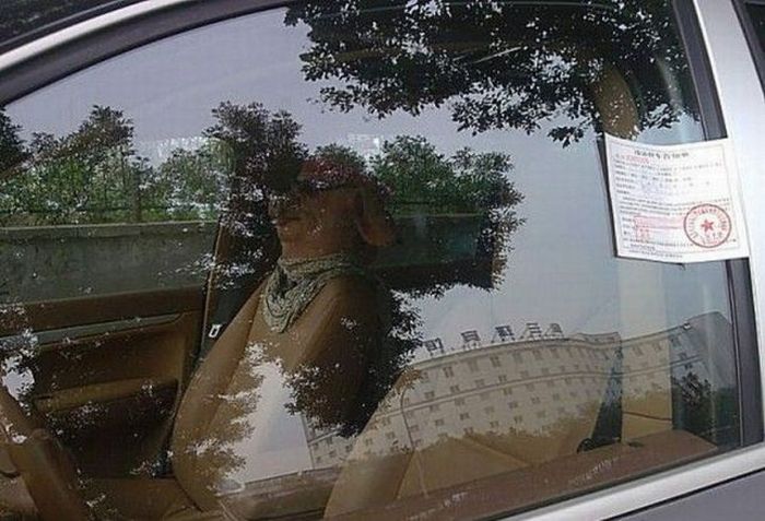 Strange Passenger (3 pics)