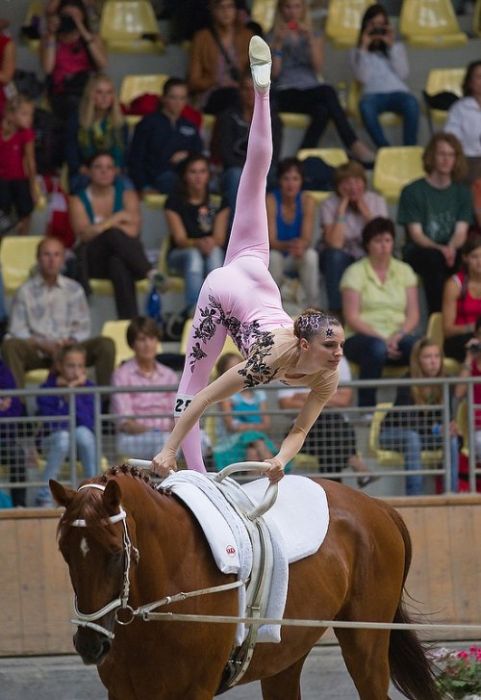 World Equestrian Games 2010 (10 pics)