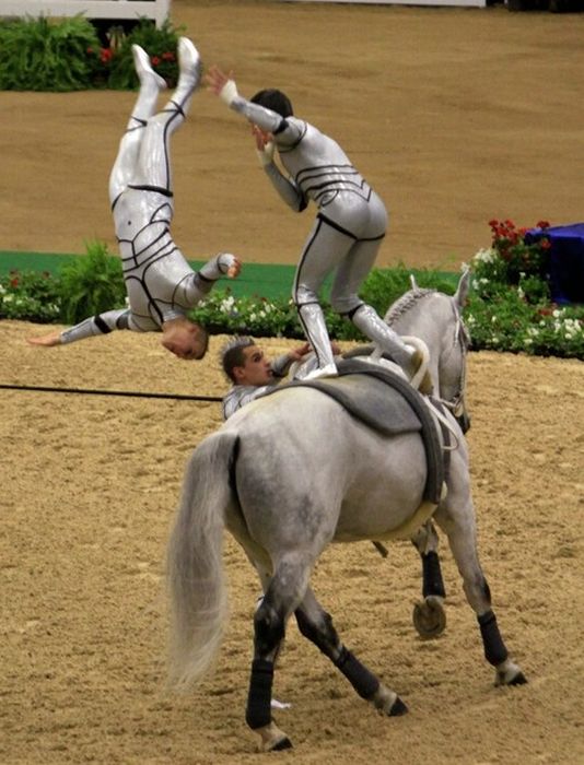 World Equestrian Games 2010 (10 pics)