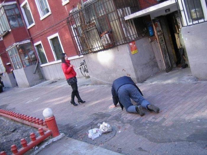 Acid Picdump (116 pics)