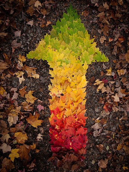 Acid Picdump (116 pics)