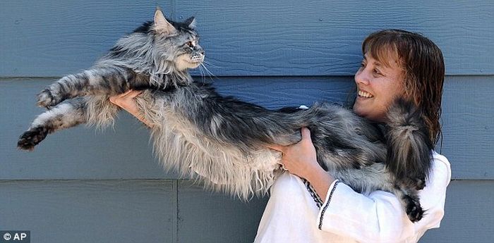 Acid Picdump (116 pics)