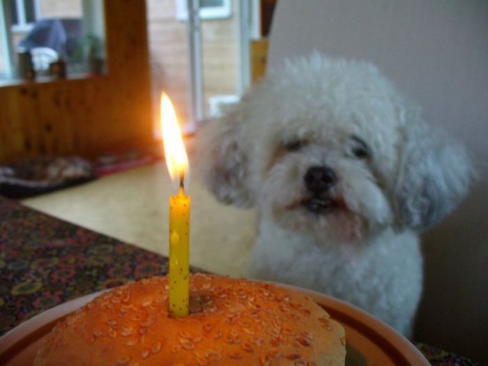 Acid Picdump (116 pics)