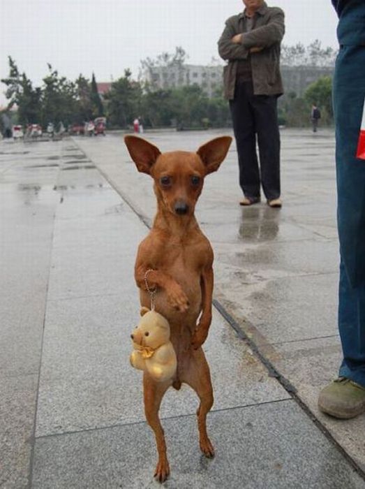 Acid Picdump (116 pics)