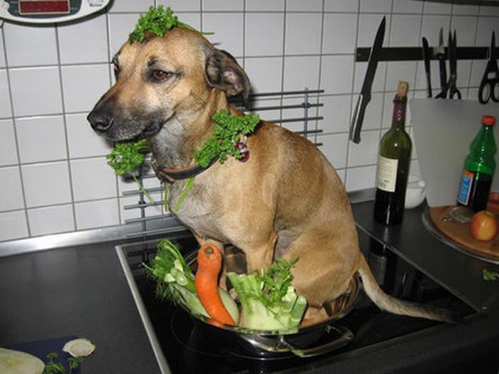 Acid Picdump (116 pics)