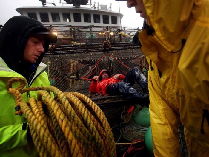 Discovery Channel Deadliest Catch (31 pics)