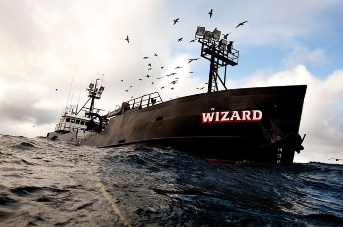 Discovery Channel Deadliest Catch (31 pics)