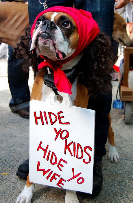Antonie Dogson (10 pics)