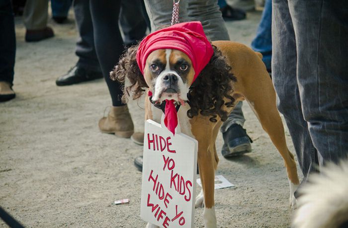 Antonie Dogson (10 pics)
