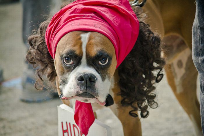 Antonie Dogson (10 pics)