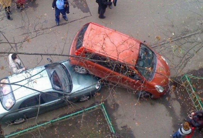 Great Parking Skills (4 pics)