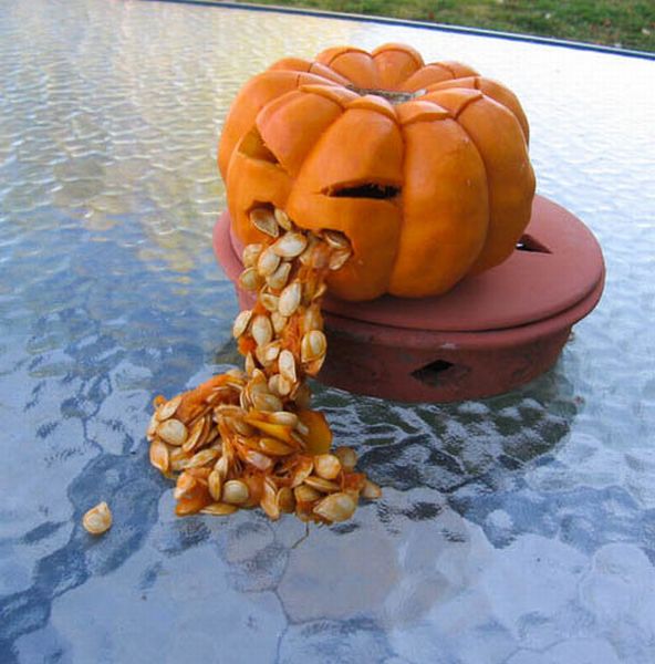 Puking Pumpkins (54 pics)
