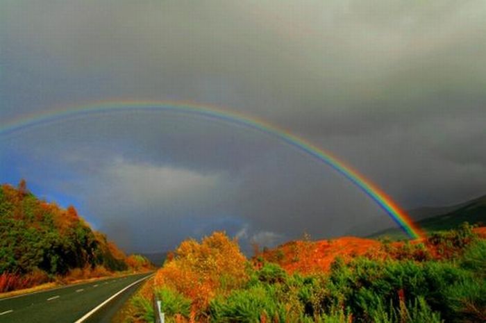 Unusual Places for Rainbows (30 pics)