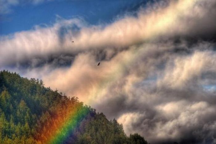 Unusual Places for Rainbows (30 pics)