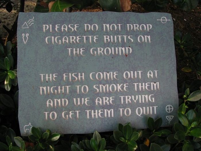Acid Picdump (115 pics)