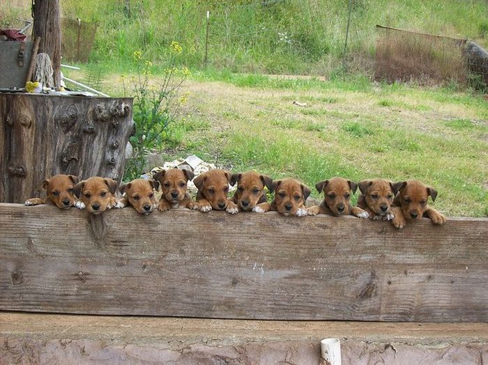 Acid Picdump (115 pics)