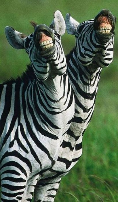 Acid Picdump (115 pics)