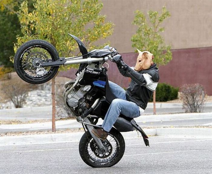 Acid Picdump (115 pics)