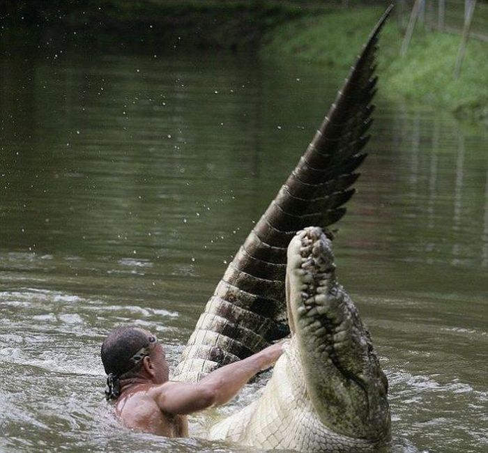 Acid Picdump (115 pics)