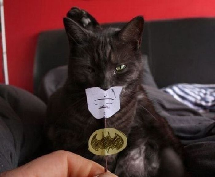 Acid Picdump (115 pics)