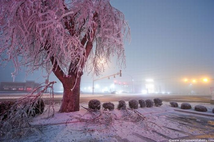 Photos of Weather Phenomena (66 pics)