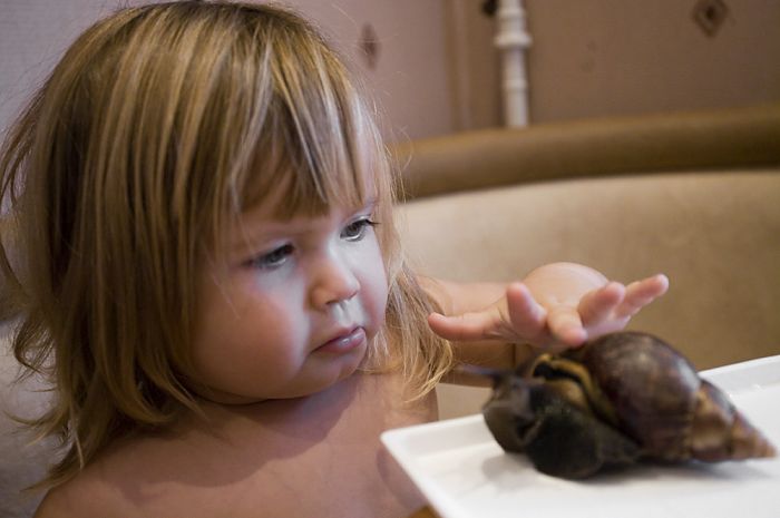 Snails and a Baby (8 pics)