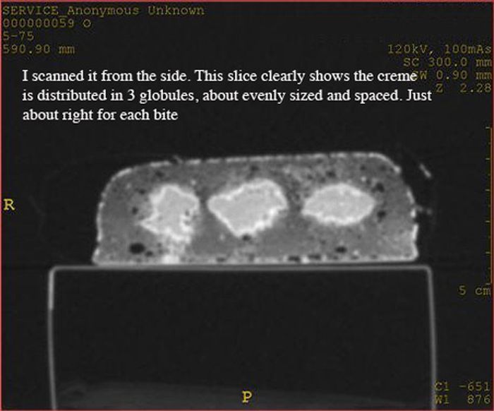 A Twinkie in a CT Scanner (6 pics)