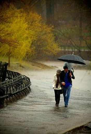 The Proposal in the Park in the Rain (10 pics)