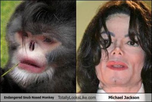 Totally Look Alikes Part IV (50 pics)