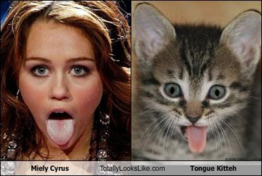 Totally Look Alikes Part IV (50 pics)